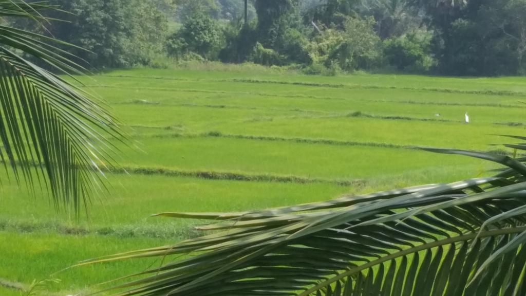 Hotel Serene View Tourist Rest Anuradhapura Exterior foto