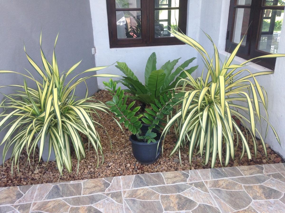 Hotel Serene View Tourist Rest Anuradhapura Exterior foto